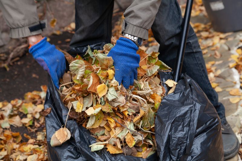 Disposal of Collected Leaves