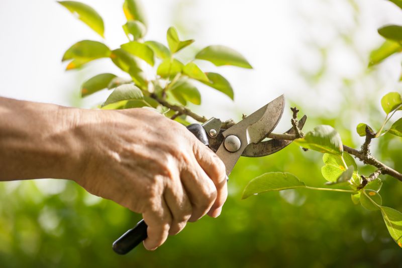 Pruning Techniques
