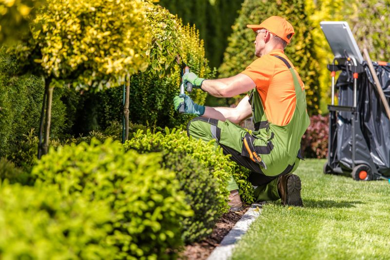 Garden Maintenance Packages